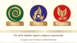 ayurvedische geneeskunde