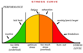 oorzaken van stress