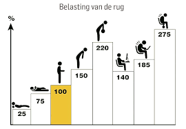 lage rugpijn overbelasting