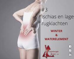 lage rugpijn oorzaak nieren