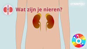 nieren en rugpijn