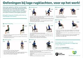 fysiotherapie lage rugpijn