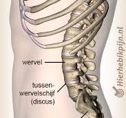 pijn aan linker onderrug