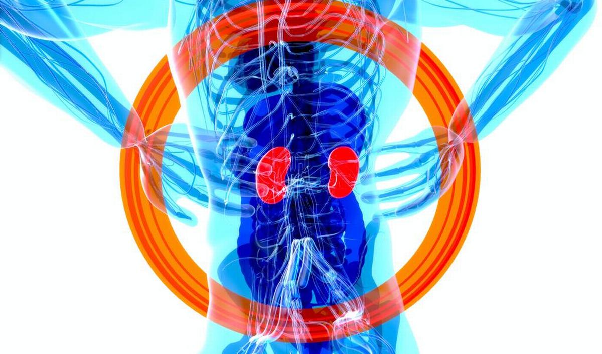 pijn onderrug en buik