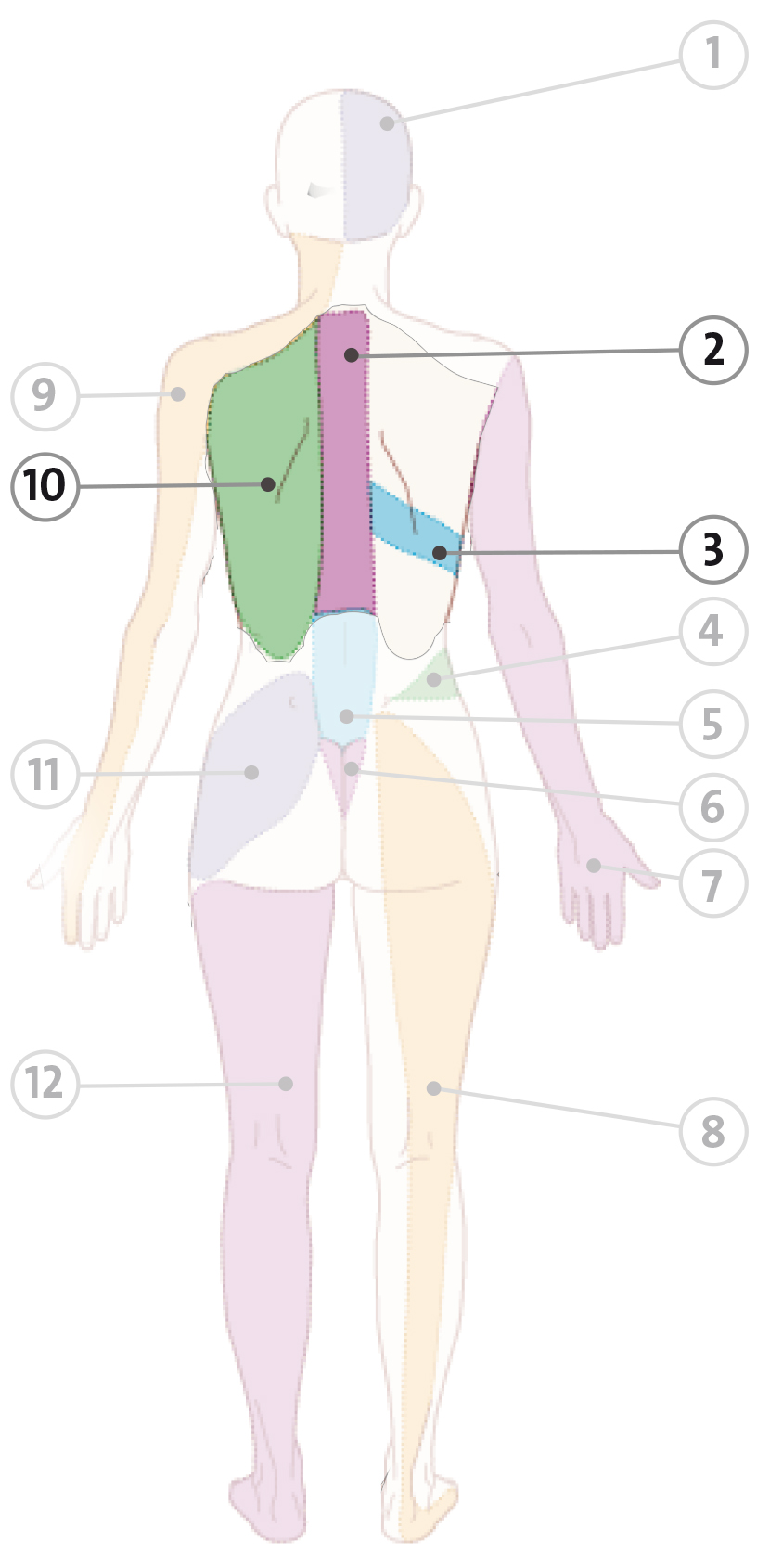 pijn spieren onderrug