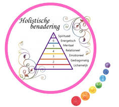 holistische benadering